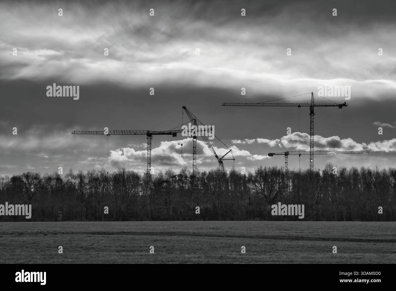 Black And White Photograph Showing Several Construction Cranes Above A ...