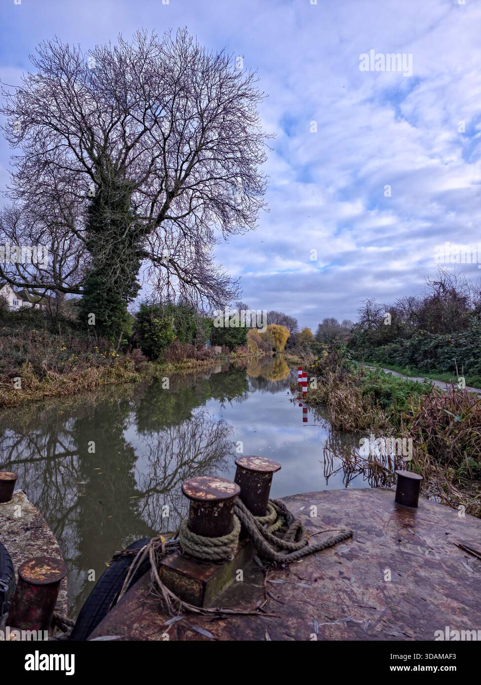 View from the deck of a narrowboat looking along the calm Stroudwater Canal with mooring bollards and winter tree reflections, Stroud, Cotswolds, - Smartphone Captured Stock Image