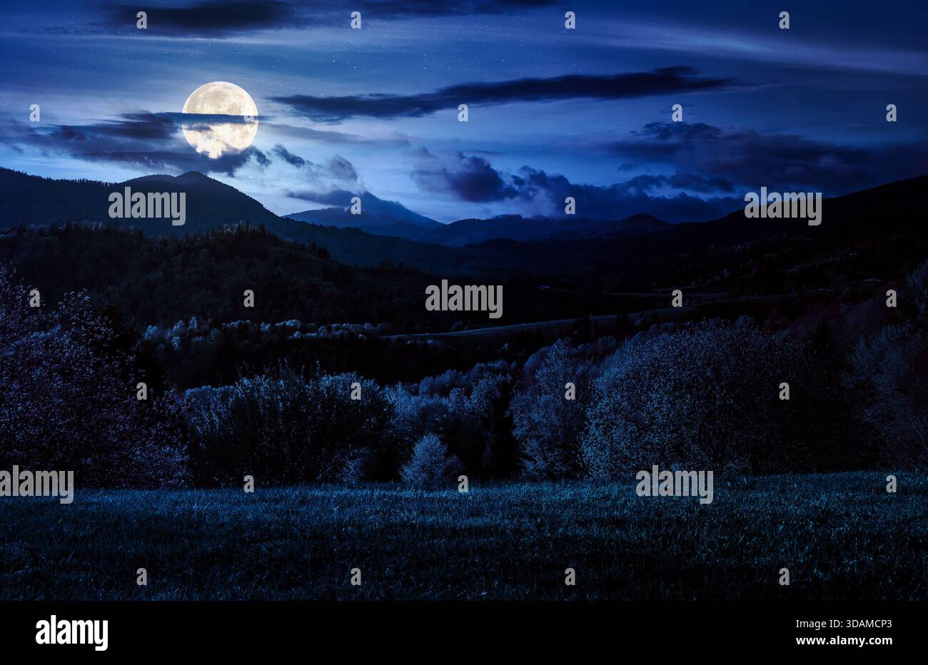 forested hills in spring at night. beautiful scenery in mountains in full moon light. rolling countryside landscape. remote rural region in highlands. Stock Photo