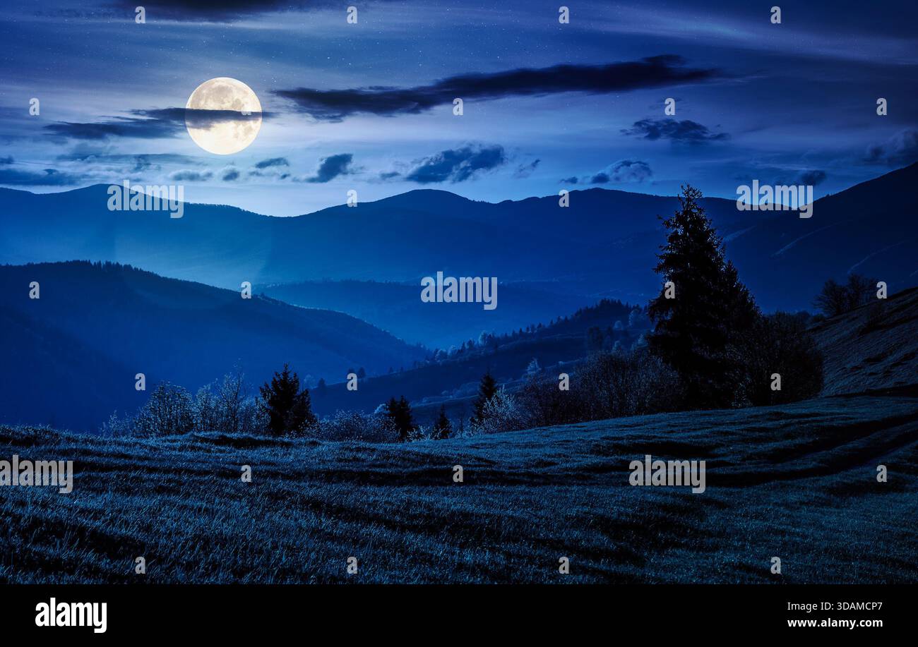 beautiful countryside landscape in springtime at night. grassy slopes of mountainous rural area in full moon light. hills rolling in to the distance. Stock Photo