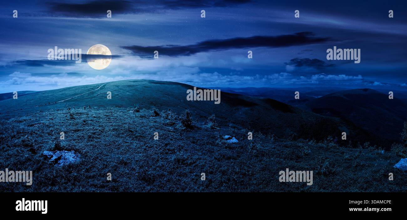 panoramic view of alpine meadows on the mountain top at night. beautiful summer landscape with hills in full moon light. concept for outdoor adventure Stock Photo