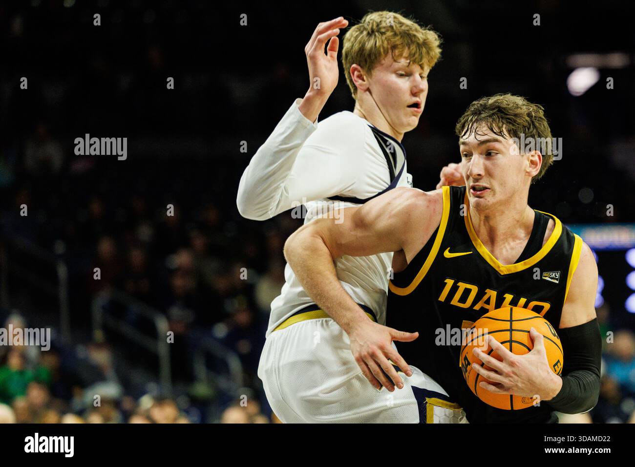 December 10, 2025: Idaho forward Jackson Rasmussen (12) drives to the ...