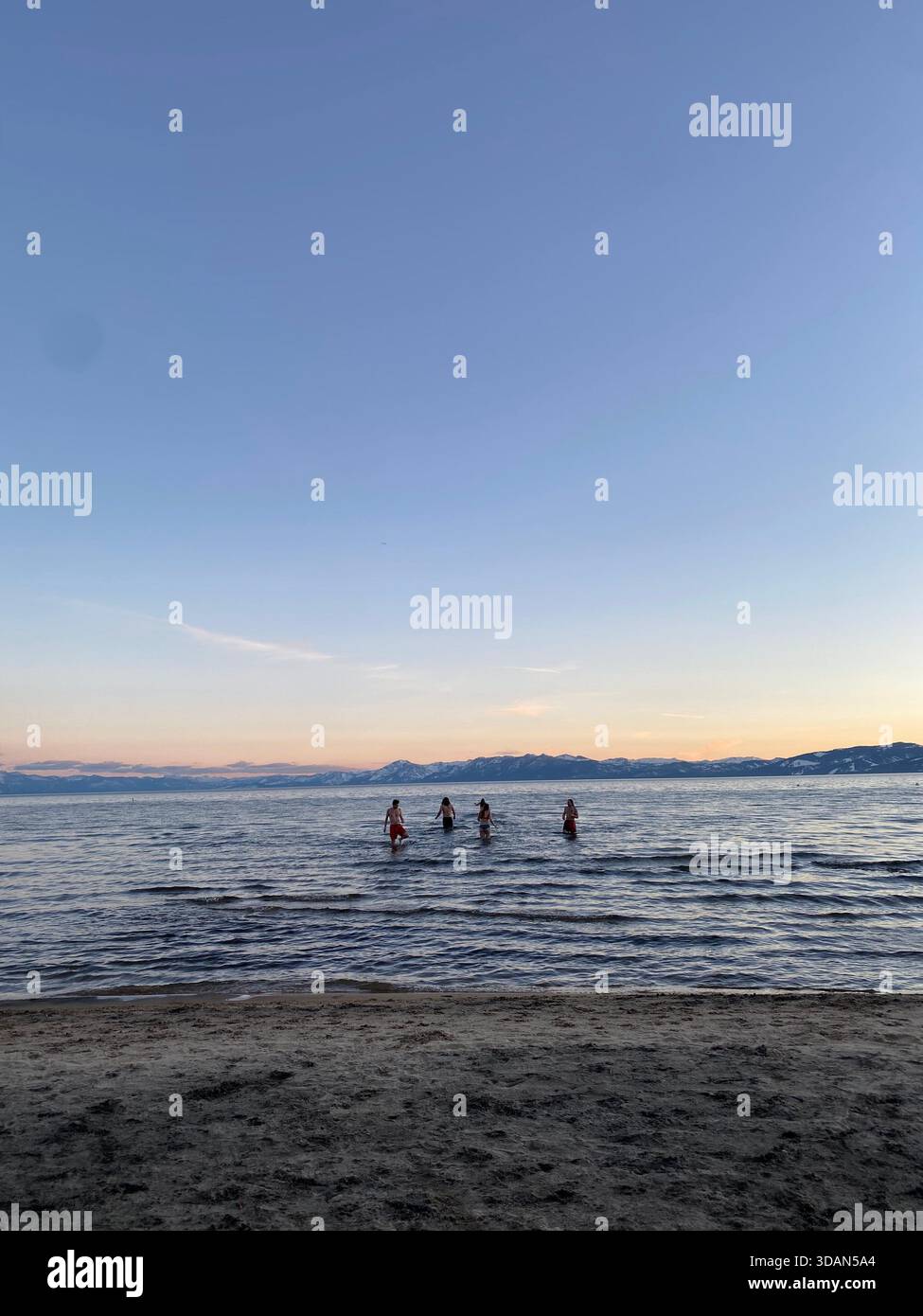 Friends swimming in the beautiful waters of Lake Tahoe, California at sunset. - Smartphone Captured Stock Image
