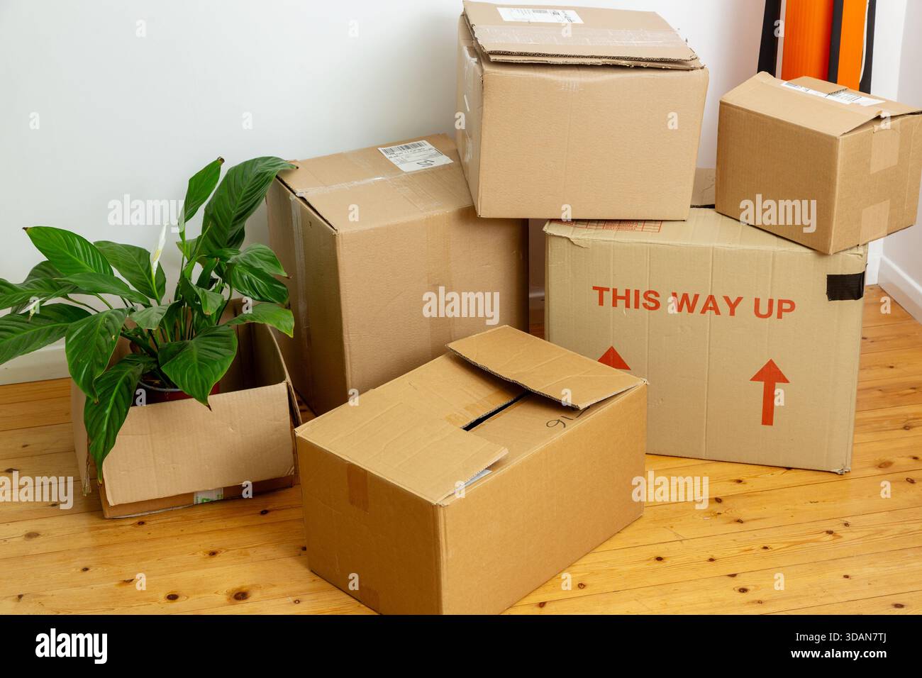 A stack of cardboard boxes on a wooden floor in a house Stock Photo