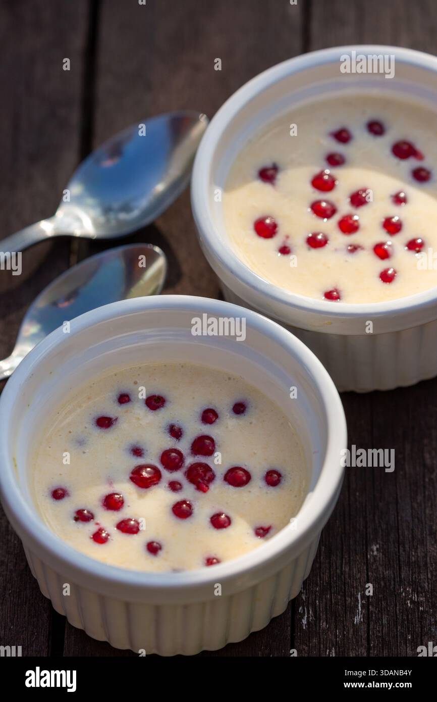 Homemade Yoghurt and redcurrant desserts in white ceramic ramekin bowls Stock Photo
