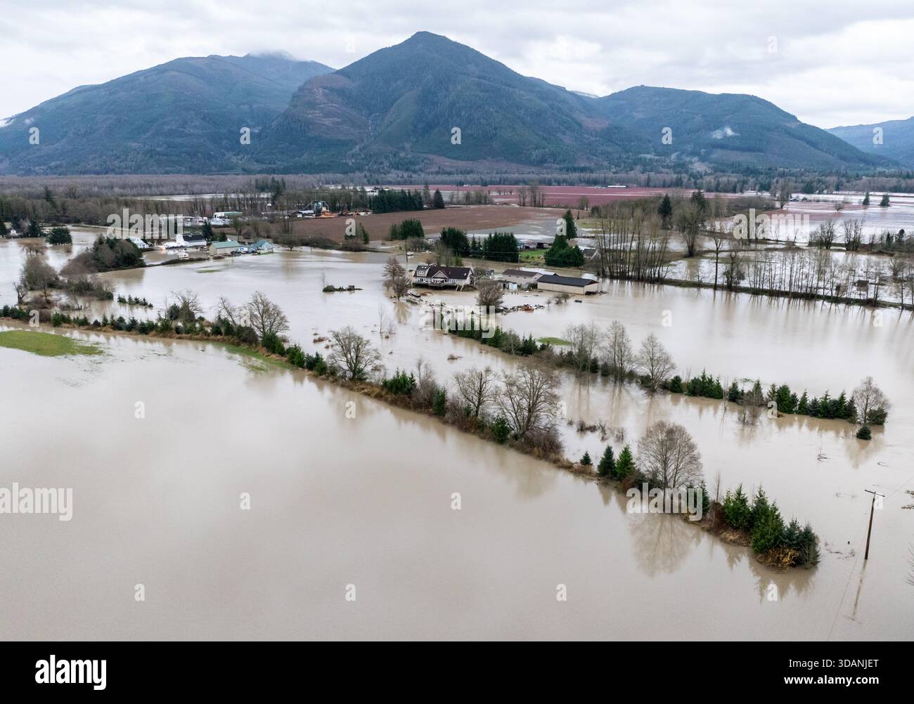 Water from the Skagit River floods farms and homes on Thursday, Dec. 11 ...