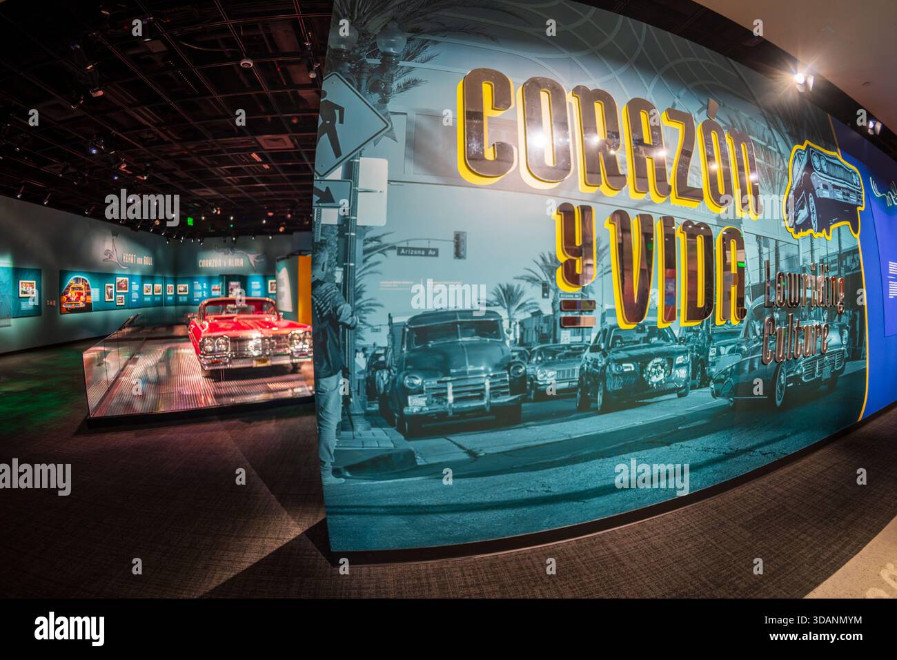 Custom introduced hi-res stock photography and images - Alamy