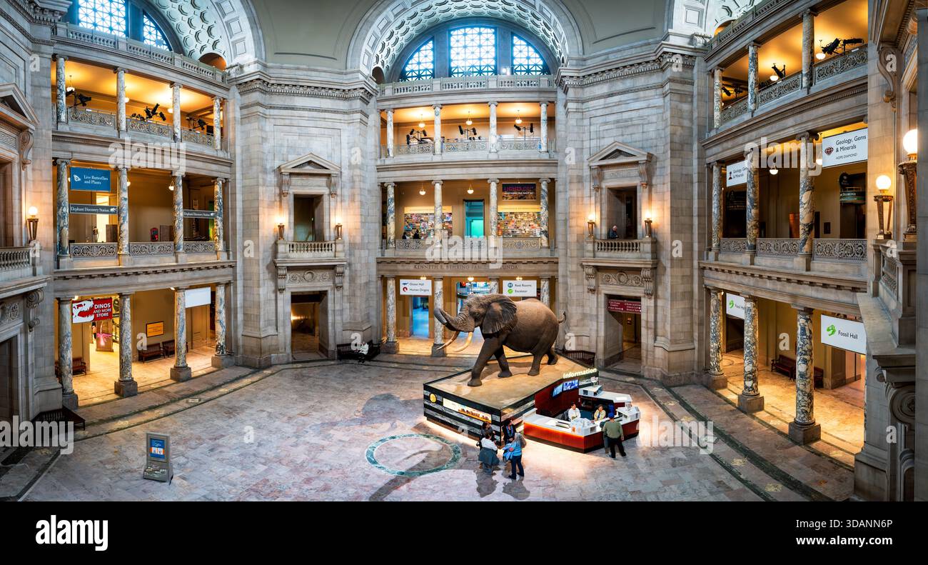 Smithsonian Natural History Museum Kenneth E Behring Family Rotunda ...