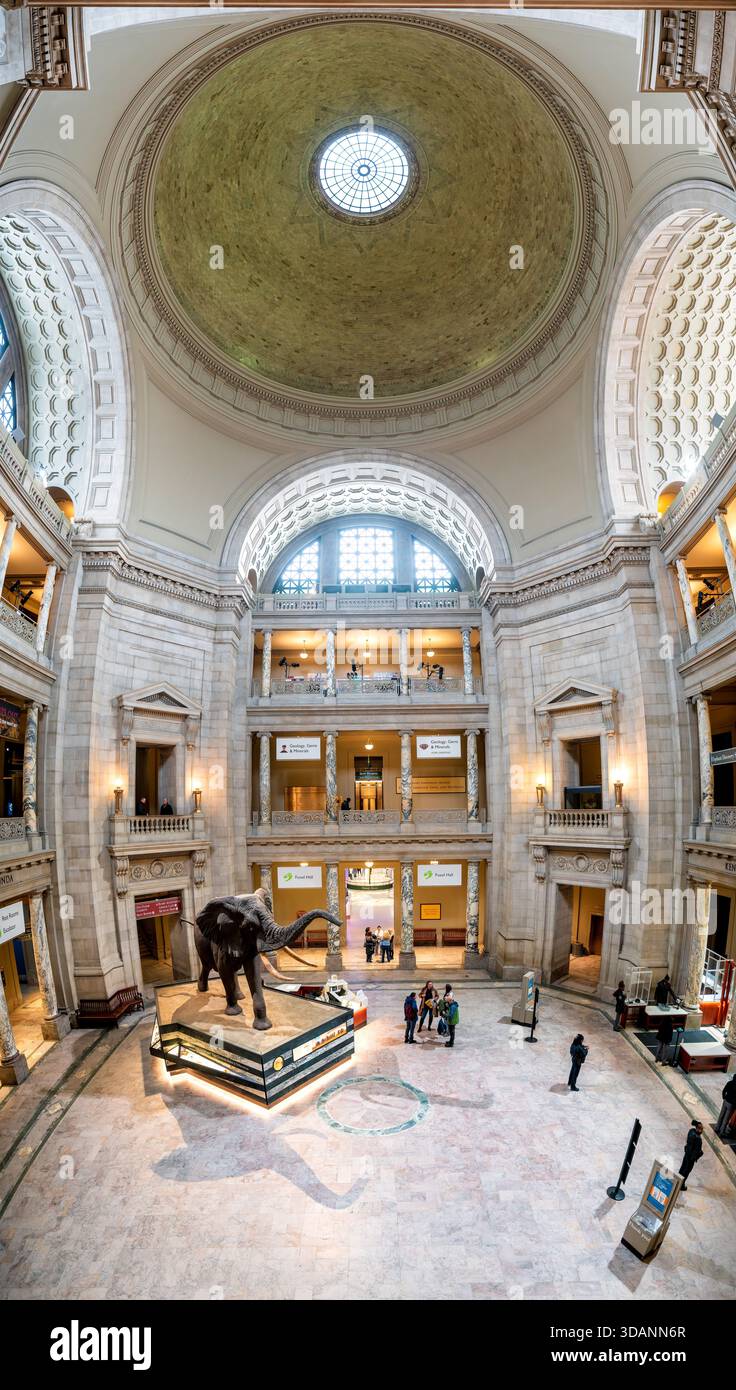 Smithsonian Natural History Museum Kenneth E Behring Family Rotunda ...
