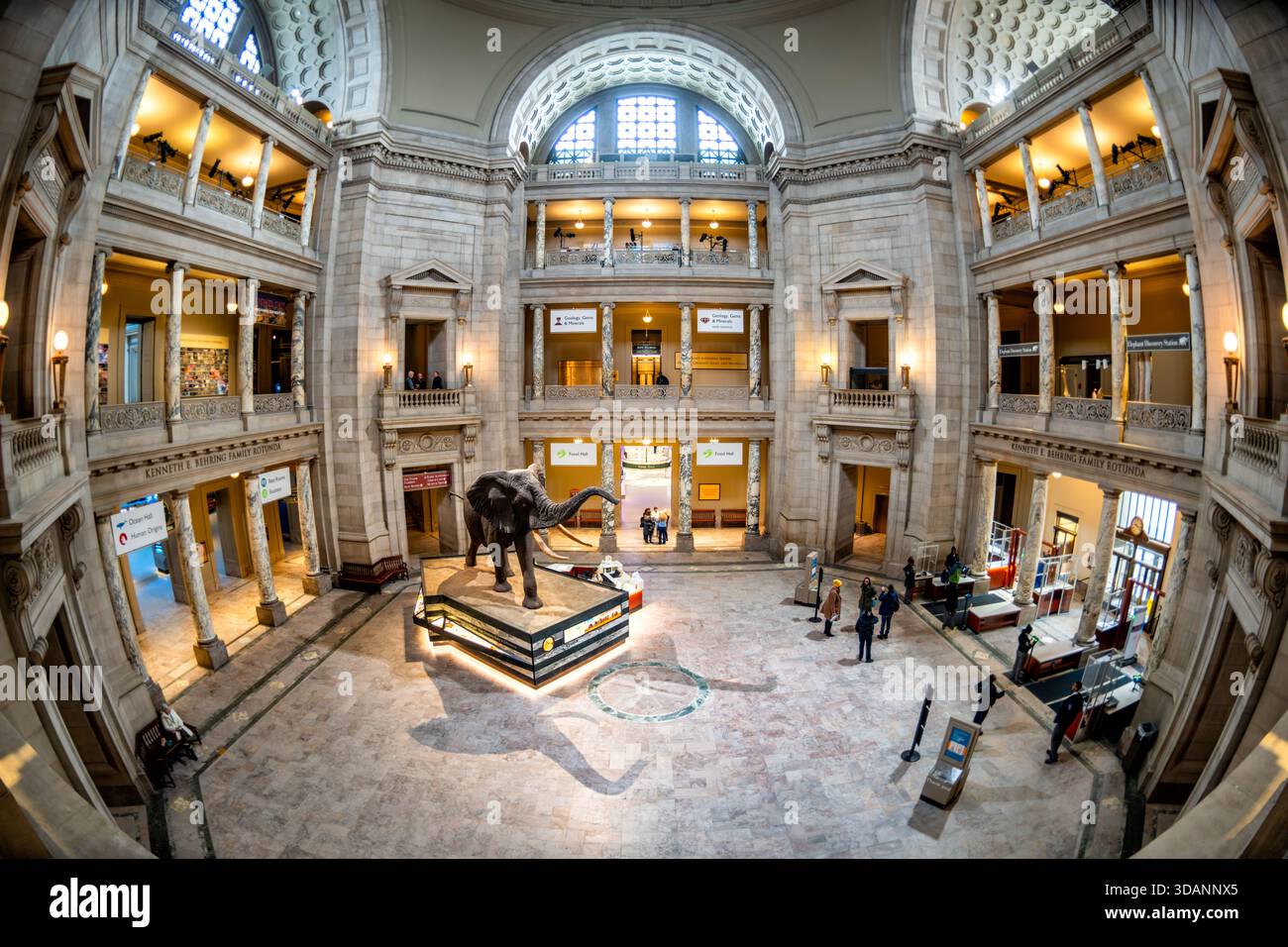 Smithsonian Natural History Museum Kenneth E Behring Family Rotunda ...
