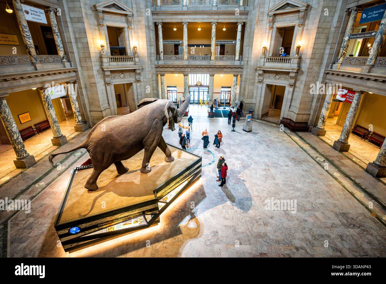 Exhibit exhibition collection museum store hi-res stock photography and ...