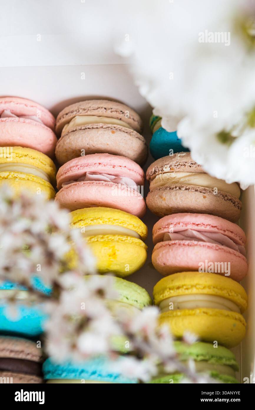 Many colorful macaroons in a white box Stock Photo