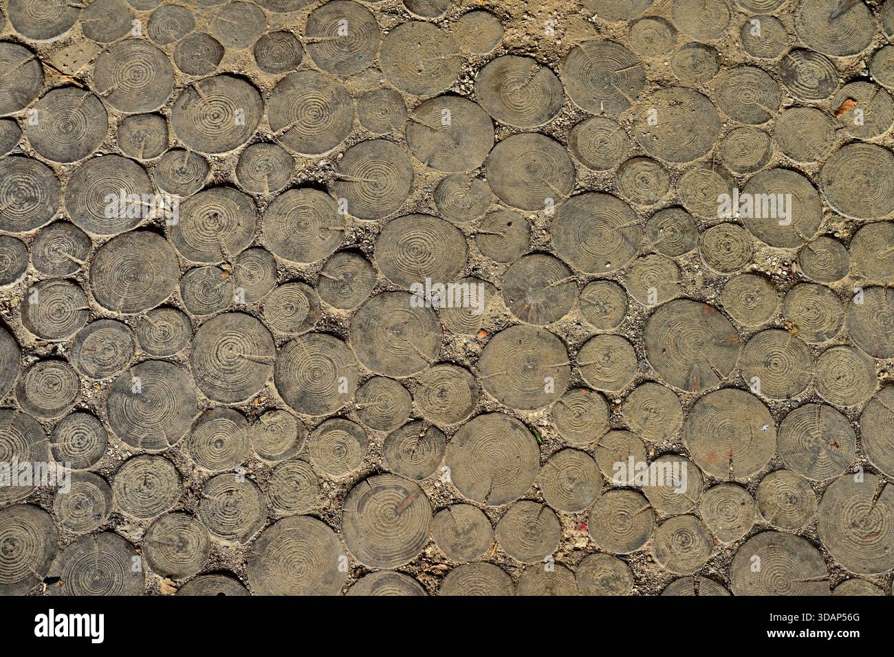 Close-Up Rustic Wood Slice Flooring with Tree Rings Pattern Stock Photo