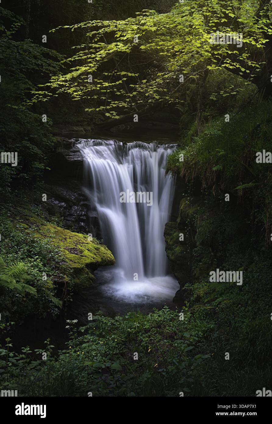 Small waterfall in the Pasiegos Valleys, Cantabria, Spain. Stock Photo