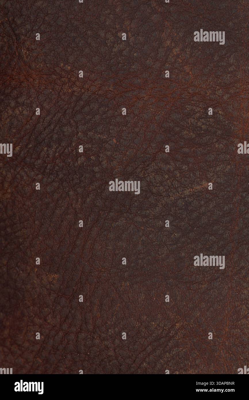Dark brown leather texture with natural grain Stock Photo