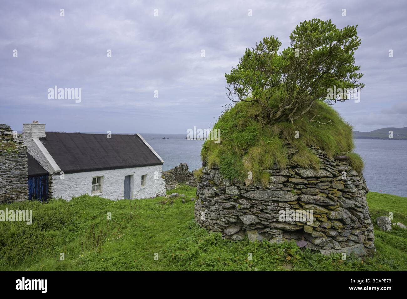 Renovated house, Great Blasket Island, Dunquin, Kerry, Ireland Stock Photo