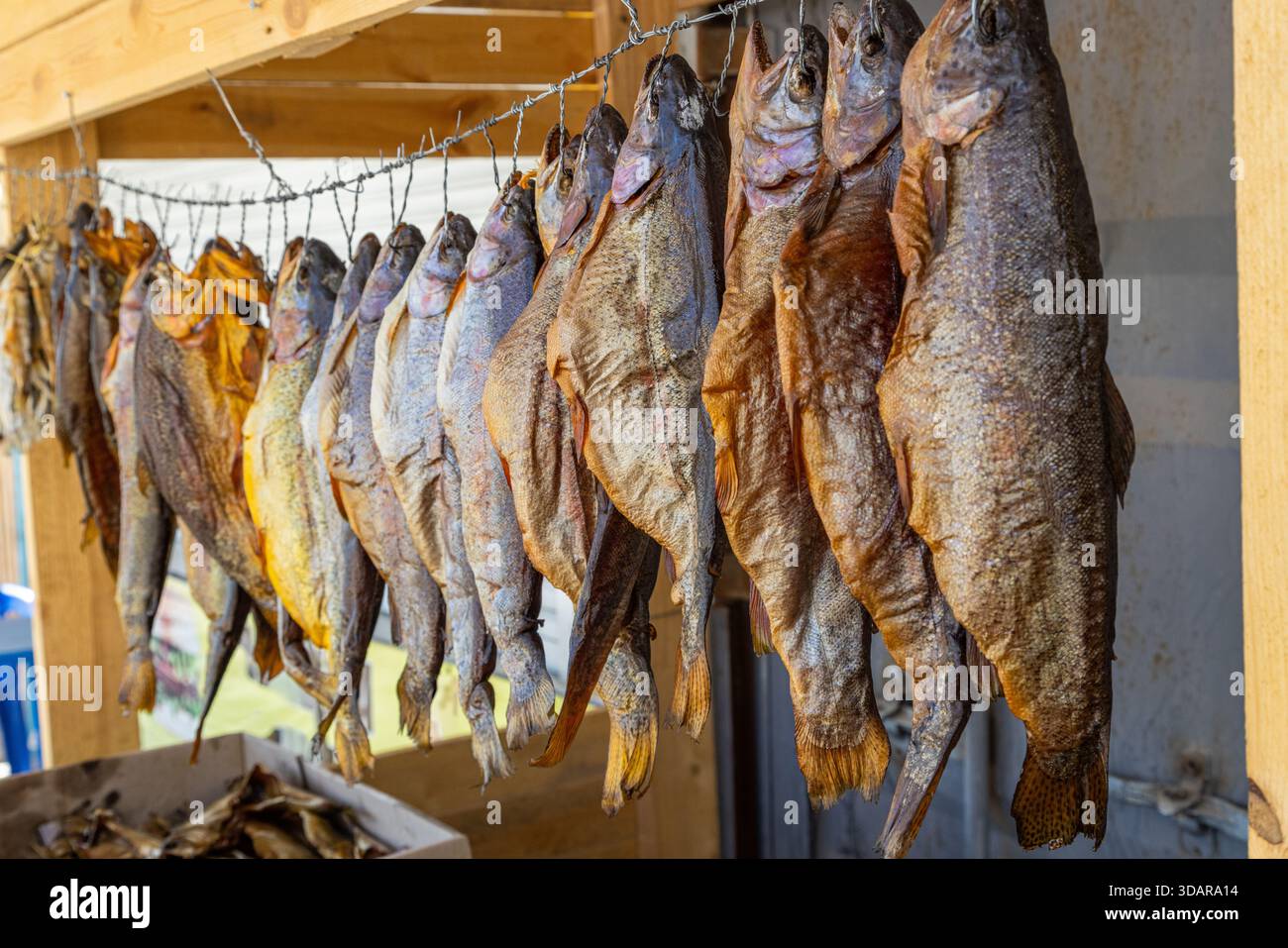Rustic Fish Market Multiple dried fish hang from a rustic market stall. Sunlight ...
