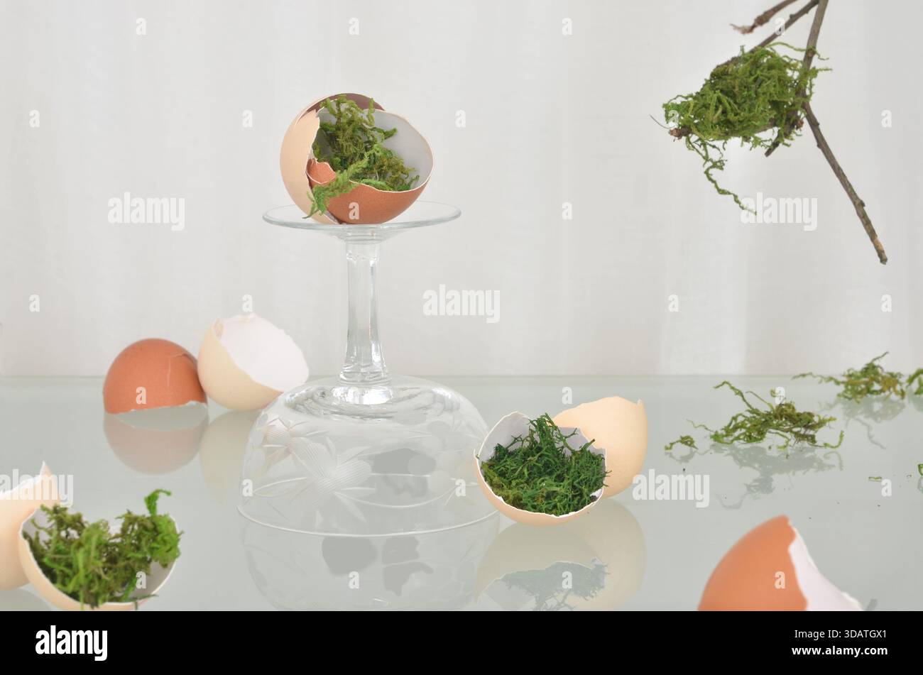 Abstract decoration with egg shells and moss for Easter. Stock Photo