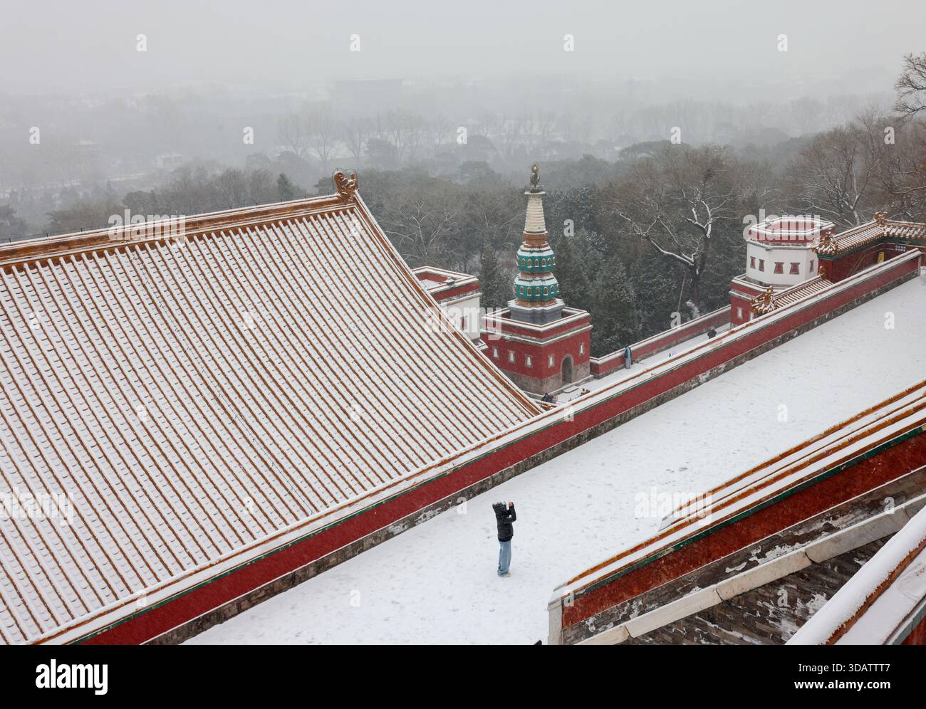 (251212) -- BEIJING, Dec. 12, 2025 (Xinhua) -- This photo taken on Dec ...