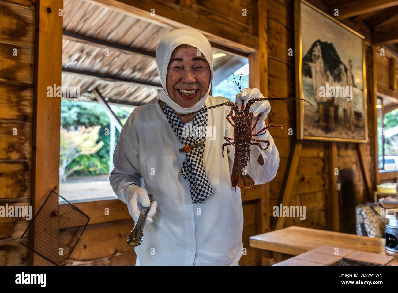 Ama diver Kimiyo Hayashi with fresh seafood, which she prepares on a charcoal stove right in front of the guests. In a replica of a traditional ama hut on the coast of Mie. Here she is holding up a live Ise lobster. Shima, Mie, Japan Stock Photo