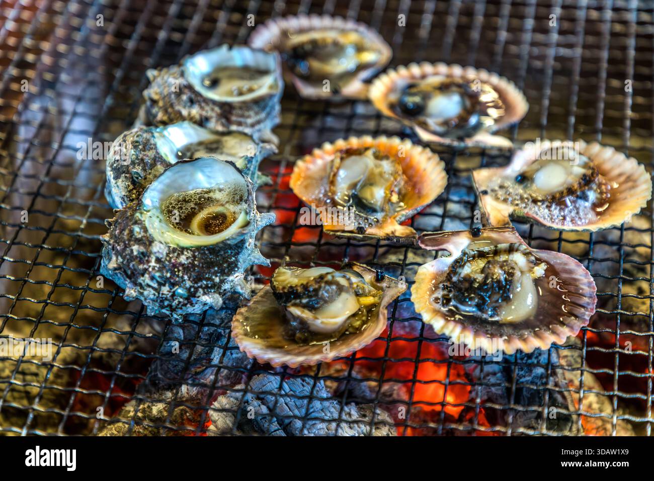 In the warm glow of the embers, turban shell and scallops sizzle on the open charcoal grill of the Ama Hut Experience, Shima, Mie Prefecture, Japan. Stock Photo