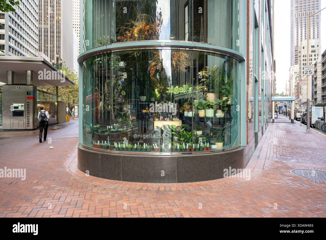 Curved glass corner storefront with houseplants and succulents on ...