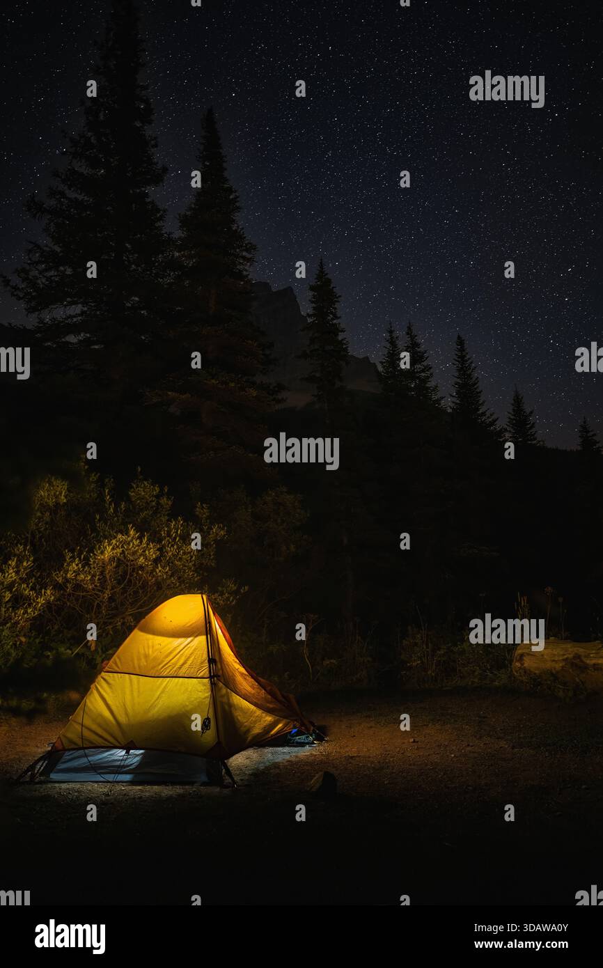 Free Photo: Camping in Forest with Tent Light and Bonfire, image size:866x1390