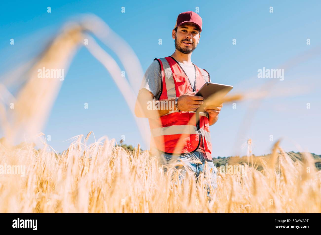 A farmer stands amidst a golden barley field in Guadalajara, Spain, using a tablet to manage farming activities, showcasing modern agriculture and tec Stock Photo