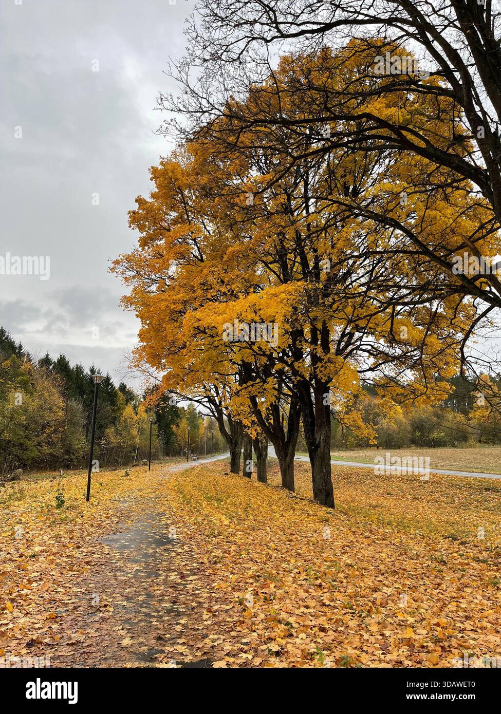 Beautiful, varied photographs are waiting for their users - Smartphone Captured Stock Image