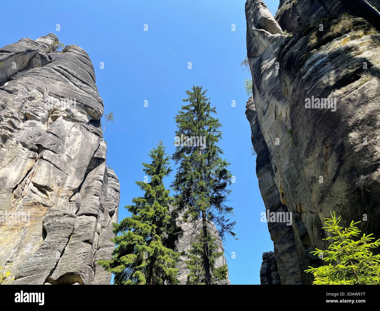 Beautiful, varied photographs are waiting for their users - Smartphone Captured Stock Image
