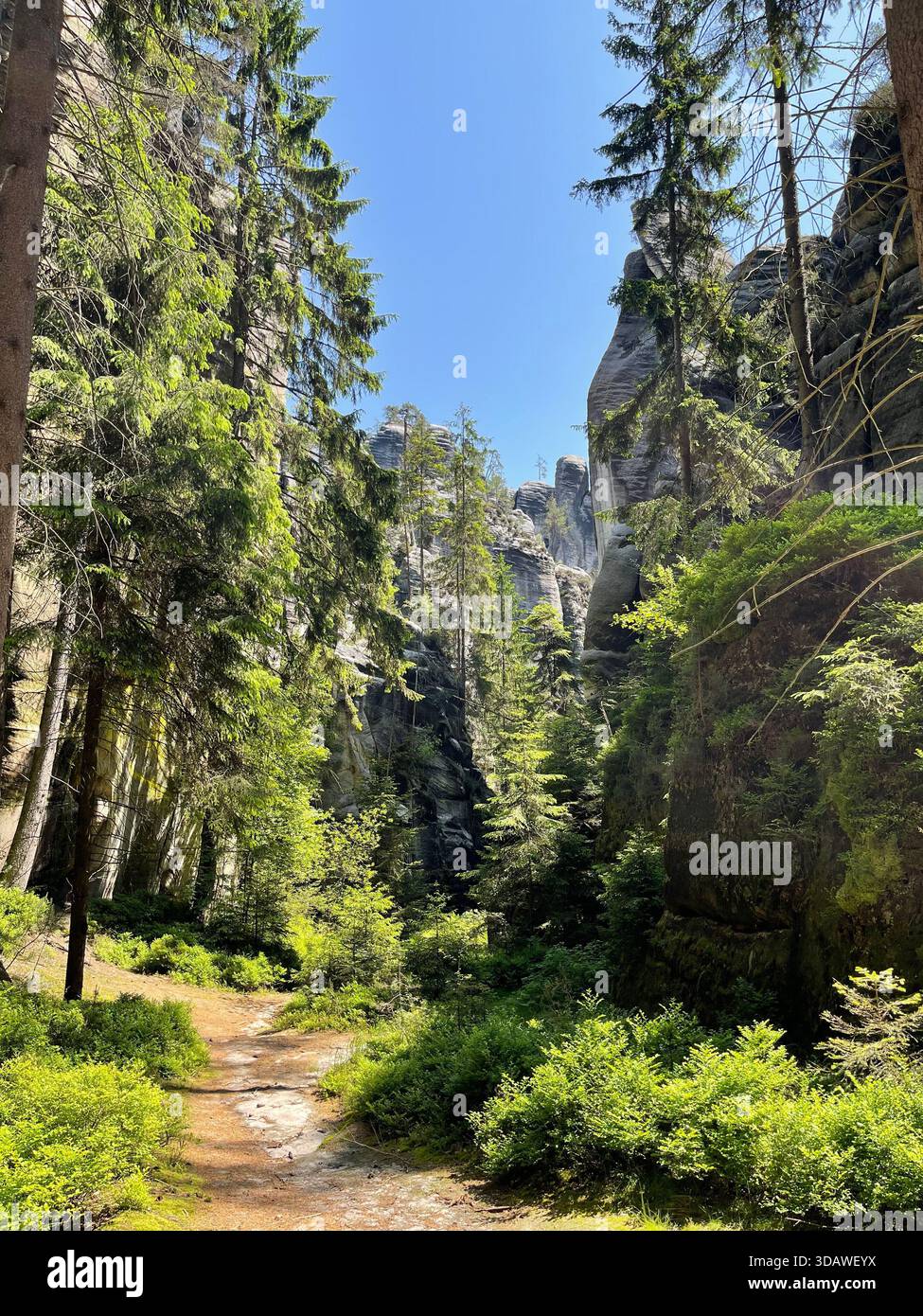 Beautiful, varied photographs are waiting for their users - Smartphone Captured Stock Image