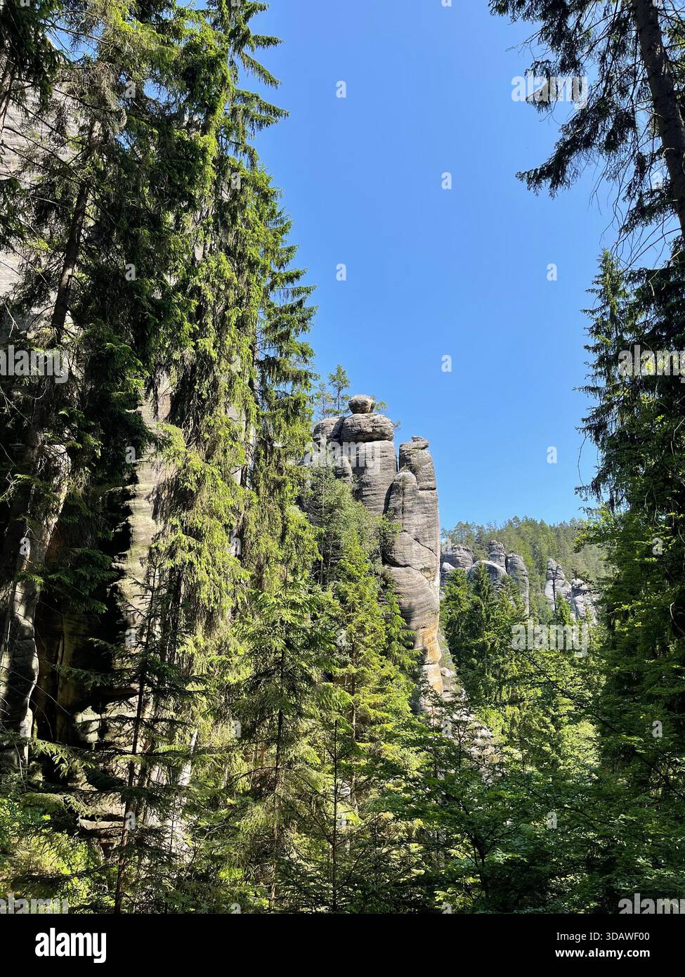 Beautiful, varied photographs are waiting for their users - Smartphone Captured Stock Image