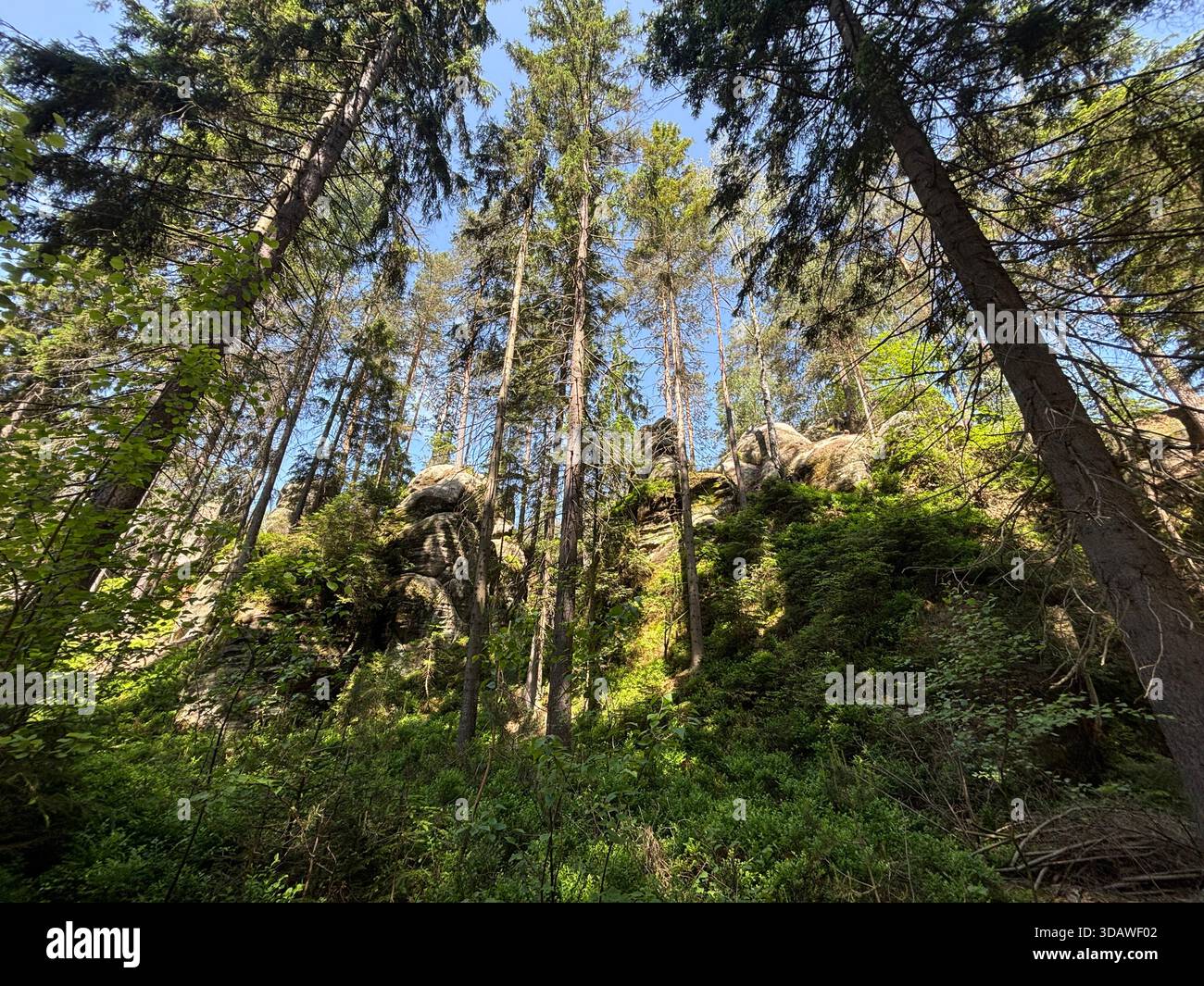 Beautiful, varied photographs are waiting for their users - Smartphone Captured Stock Image