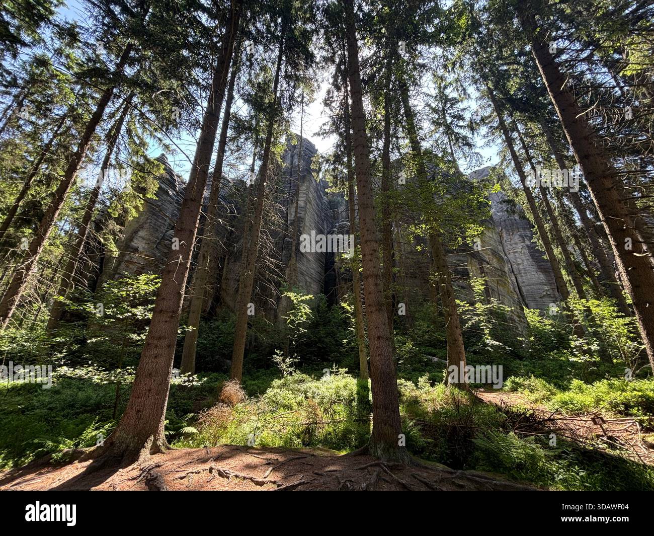 Beautiful, varied photographs are waiting for their users - Smartphone Captured Stock Image