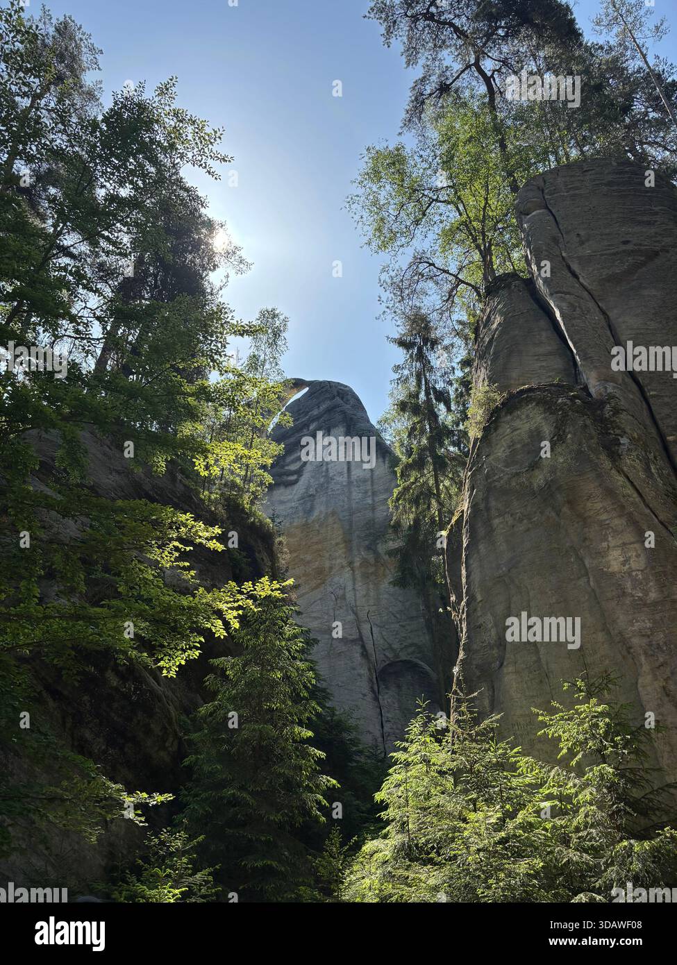 Beautiful, varied photographs are waiting for their users - Smartphone Captured Stock Image