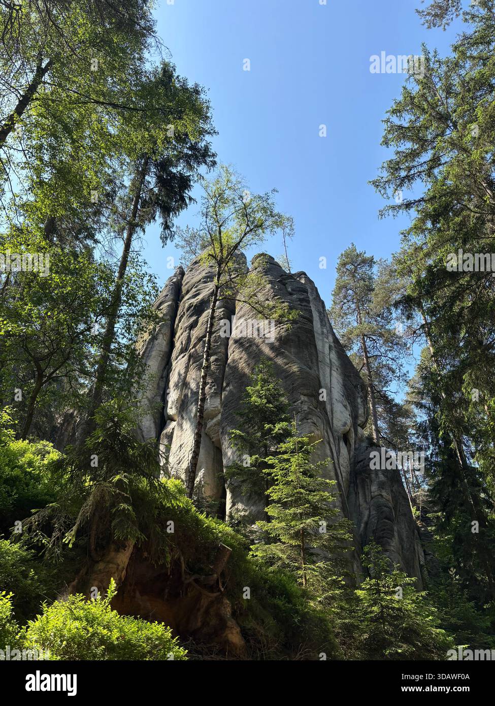 Beautiful, varied photographs are waiting for their users - Smartphone Captured Stock Image