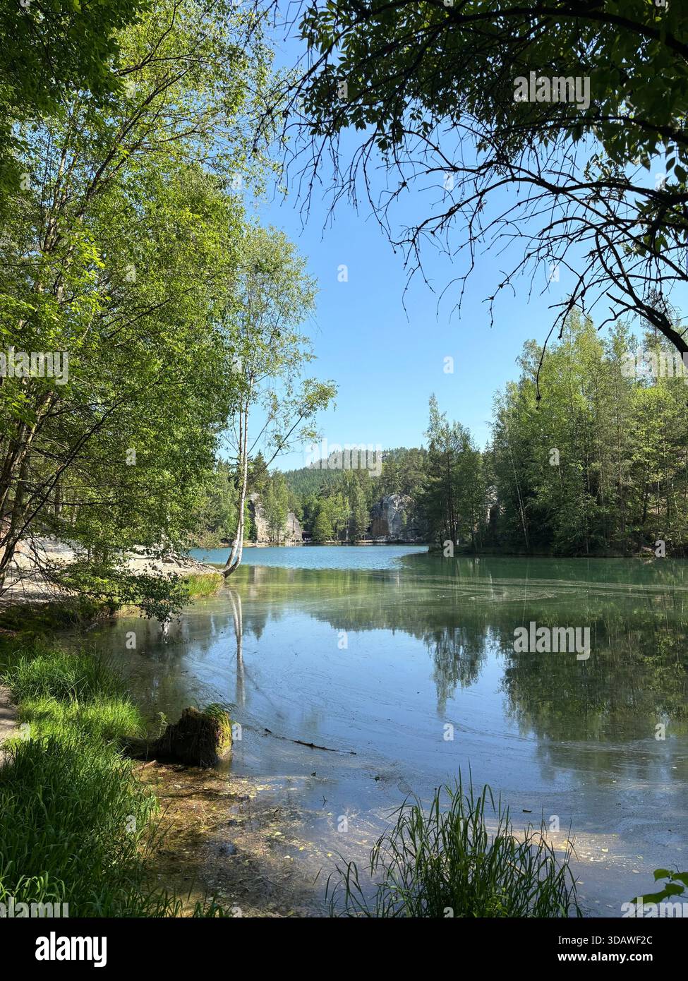 Beautiful, varied photographs are waiting for their users - Smartphone Captured Stock Image