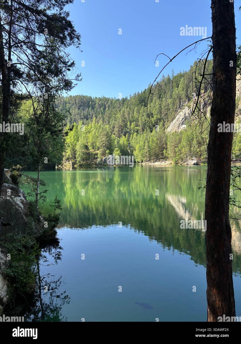 Beautiful, varied photographs are waiting for their users - Smartphone Captured Stock Image