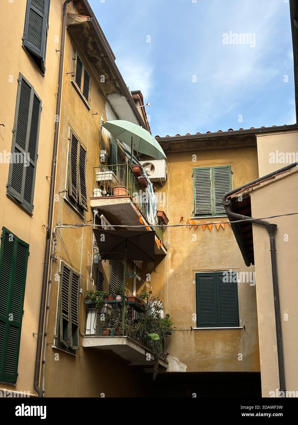 Beautiful, varied photographs are waiting for their users - Smartphone Captured Stock Image