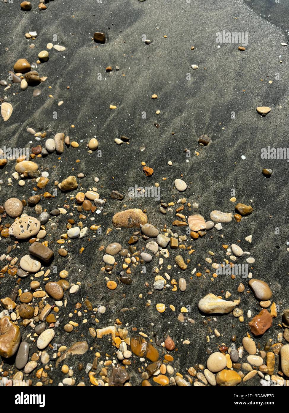 Beautiful, varied photographs are waiting for their users - Smartphone Captured Stock Image