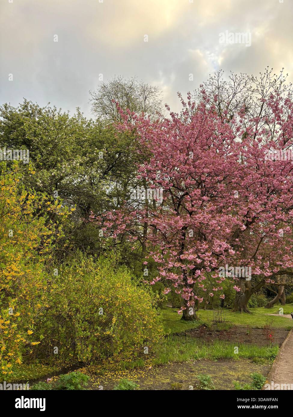 Beautiful, varied photographs are waiting for their users - Smartphone Captured Stock Image