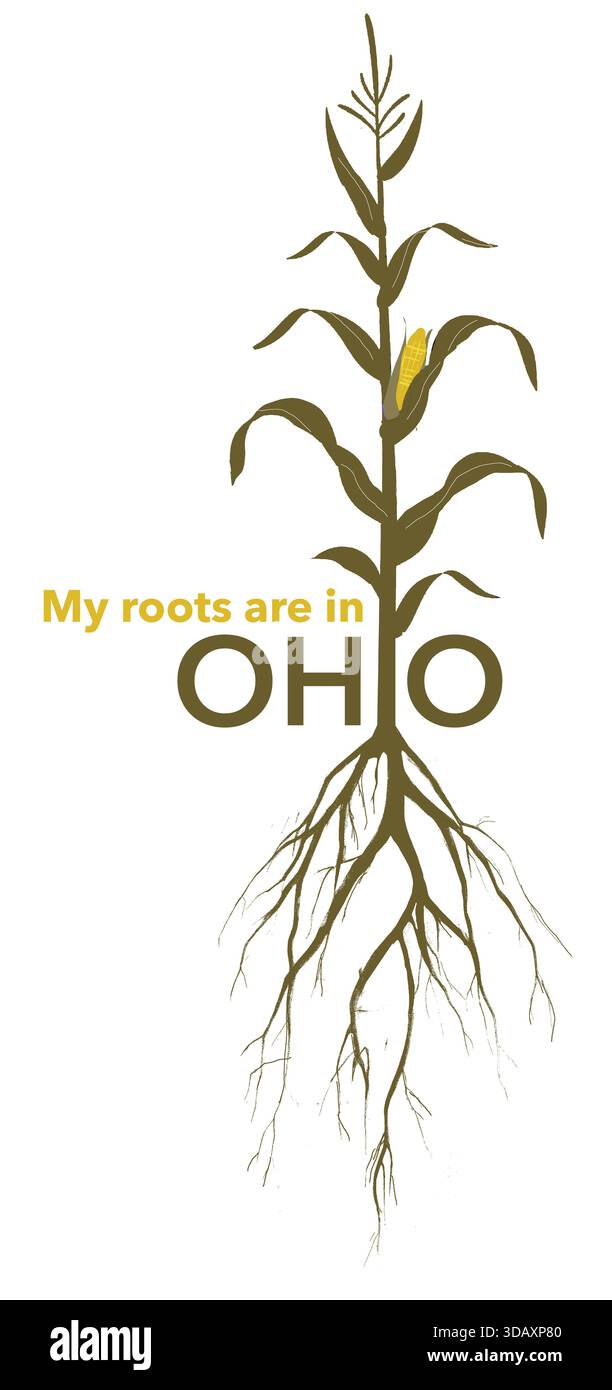 My roots are in Ohio is the topic of this Buckeye state illustration. A ...