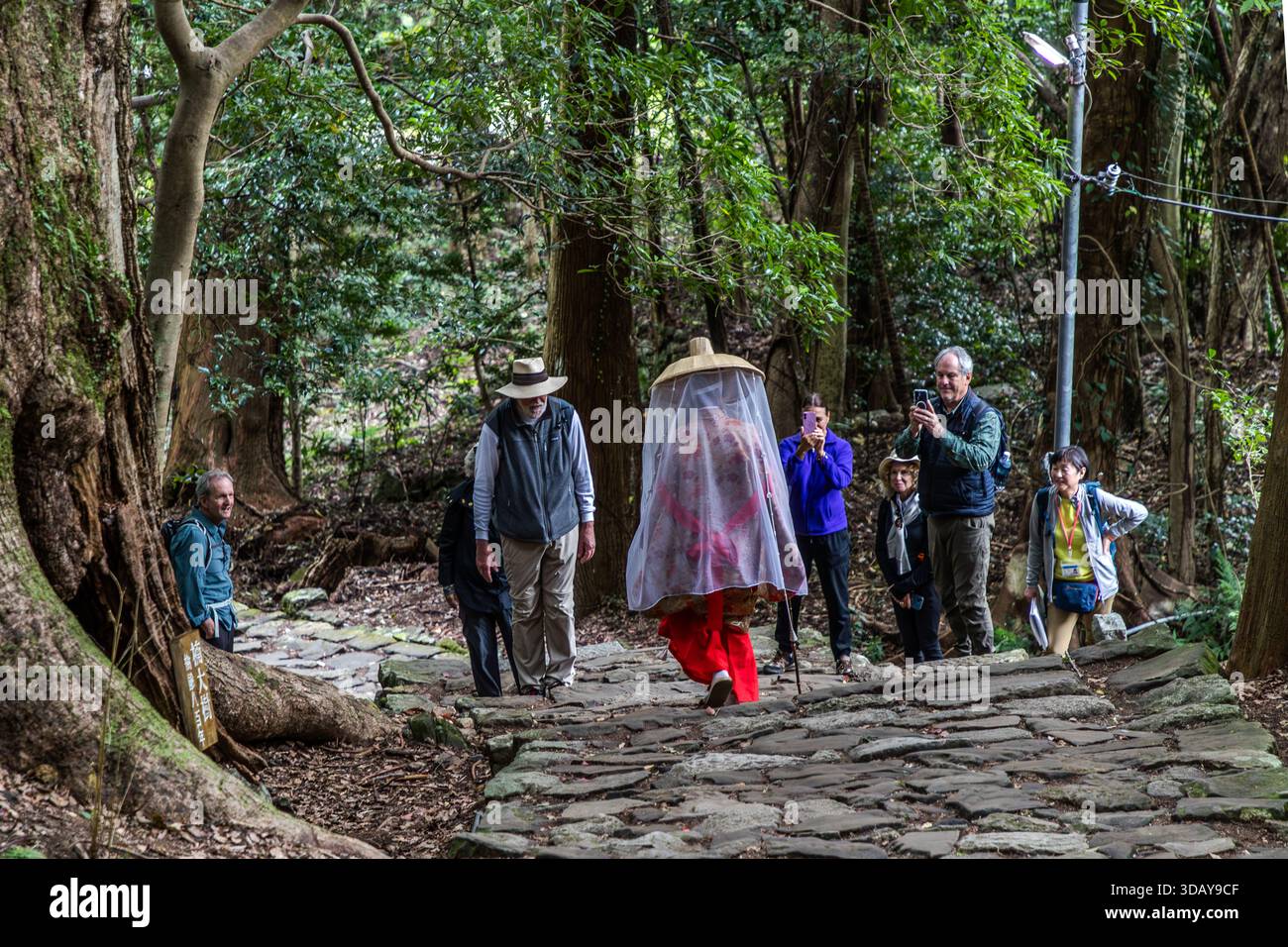 Tourist in a rented kimono on the Daimon-zaka section of the Kumano ...