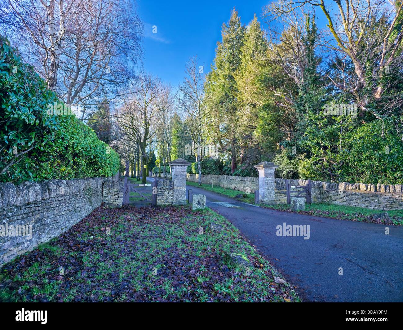 #,Title 1,Stone Gateposts Country Driveway 2,Entrance to Rural Estate 3,Cotswolds Stone Pillars Lane 4,Tree-Lined Private Driveway 5,Stone Wall Gated - Smartphone Captured Stock Image