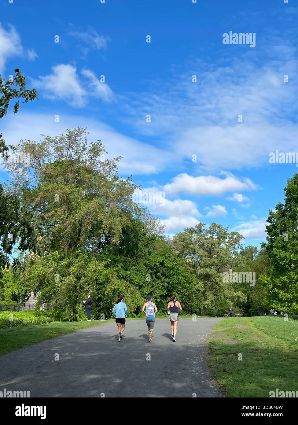 Joggers weaving through Central Park, balancing nature and city life - Smartphone Captured Stock Image