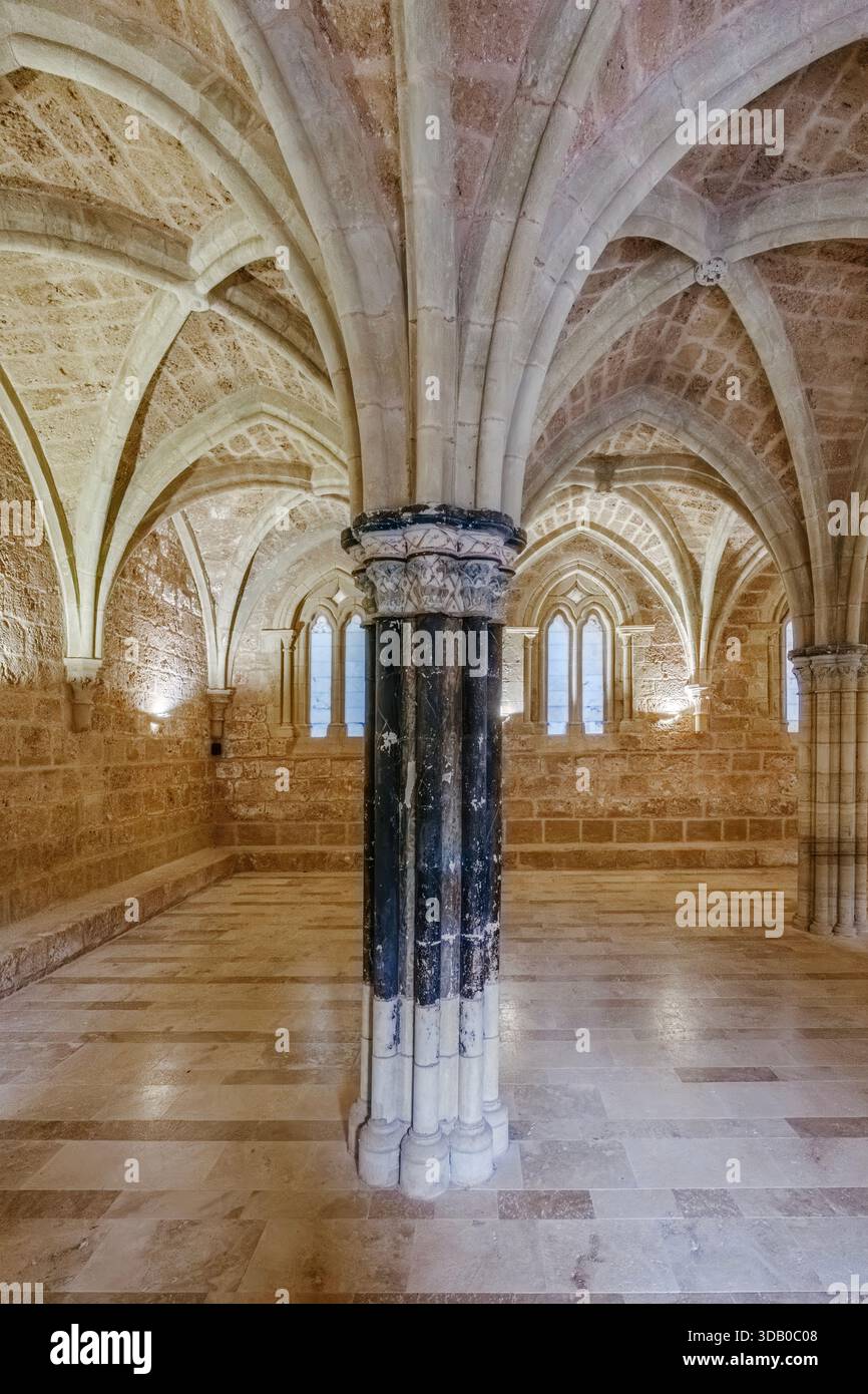 Gothic Architecture Interior With Vaulted Ceiling and Columns ...