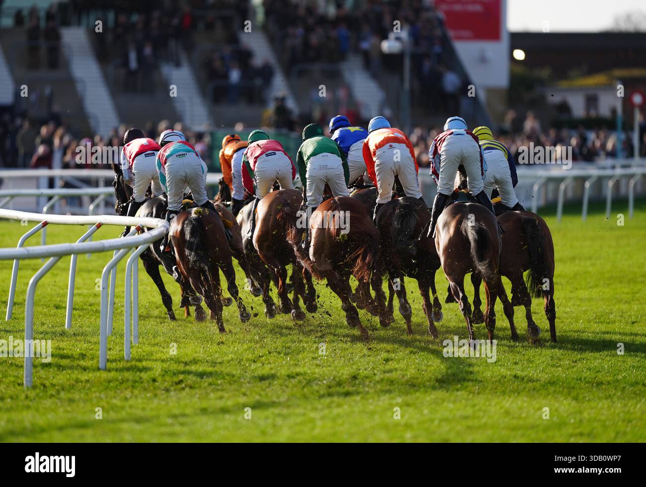 Runners and riders round a bend during the JCB Triumph Trial Juvenile ...