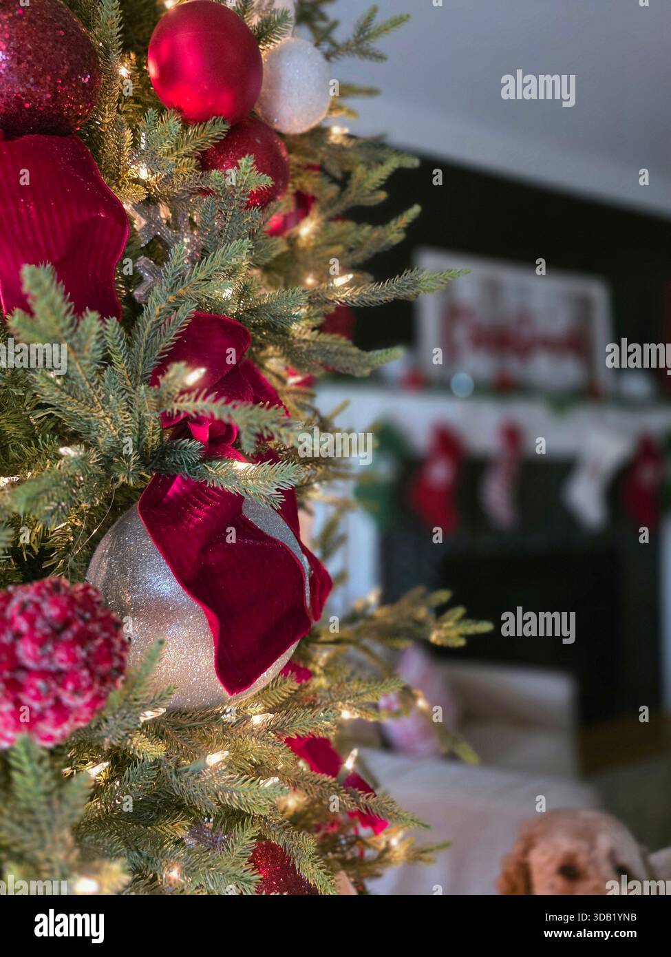 Decorations on a Christmas tree in a living room with stockings on the mantel during the holiday season - Smartphone Captured Stock Image