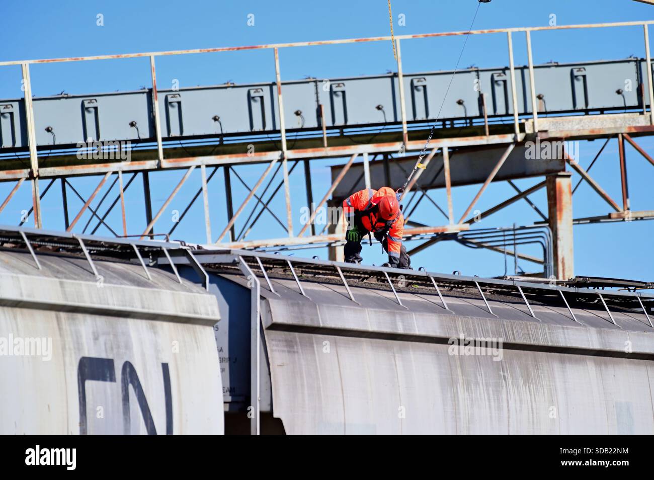 Oakland, Illinois, USA. A worker checks the interiors of a string of hopper cars at a large grain facility. Stock Photo