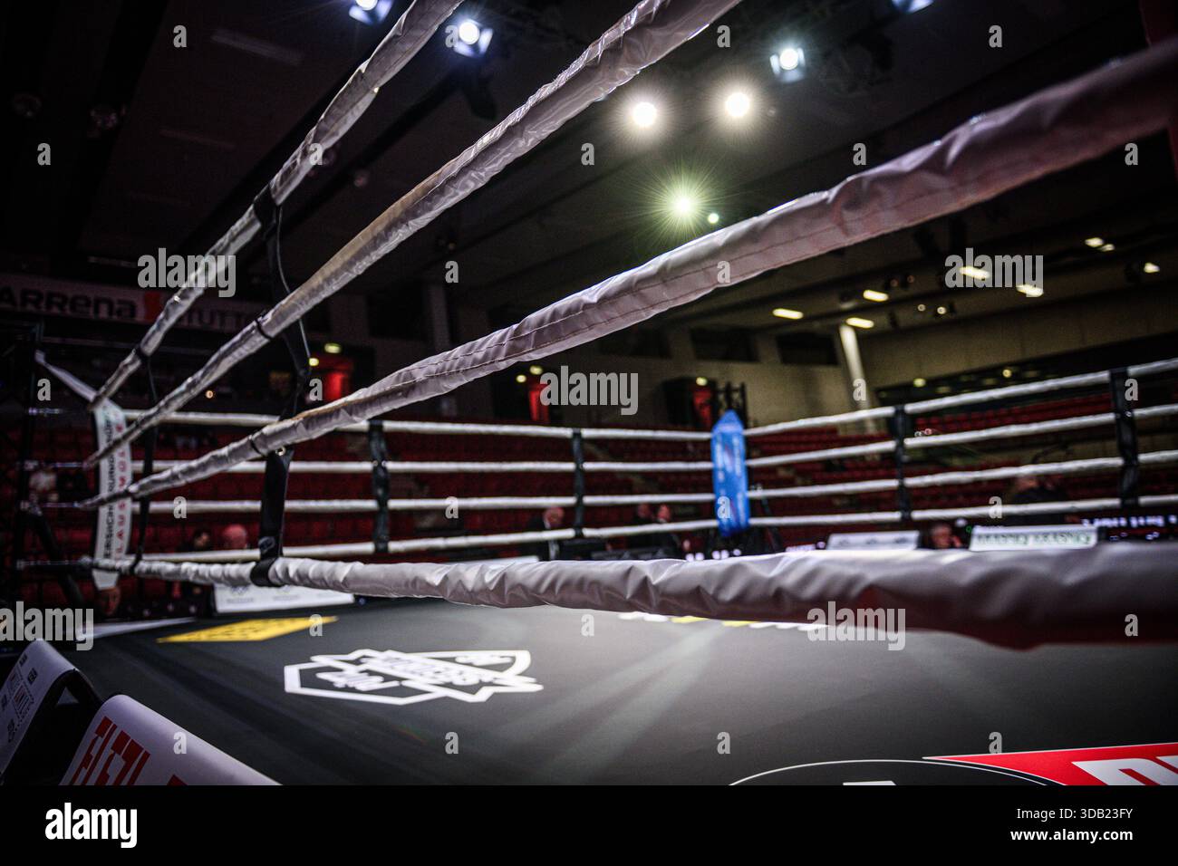 Feature, Symbolic image: Boxing ring, Ring ropes SHOWDOWN FOR LEGACY ...